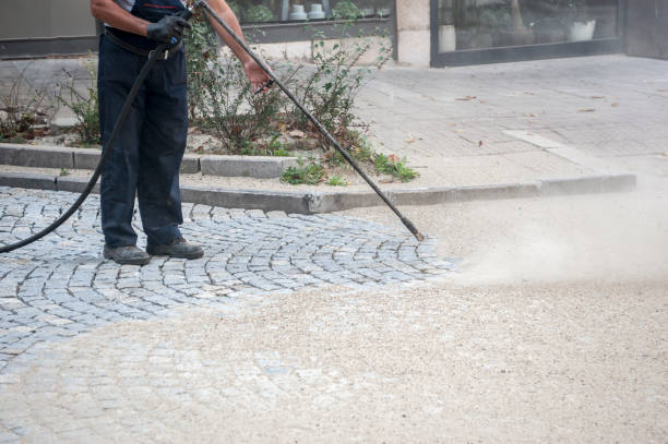 Best Boat and Dock Cleaning  in Gonzales, LA